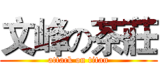 文峰の茶莊 (attack on titan)