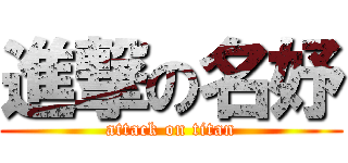 進撃の名妤 (attack on titan)