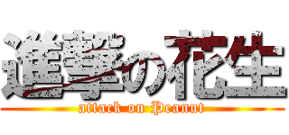 進撃の花生 (attack on Peanut)