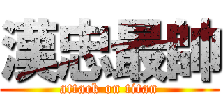 漢忠最帥 (attack on titan)