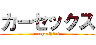 カーセックス (mecha shitai)