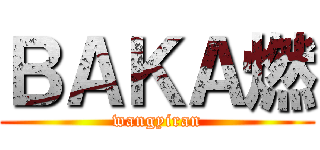 ＢＡＫＡ燃 (wangyiran)