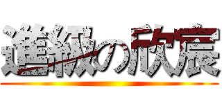 進級の欣宸 ()