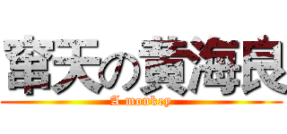窜天の黄海良 (A monkey)