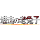 进击の老兔子 (attack on old rabbit)