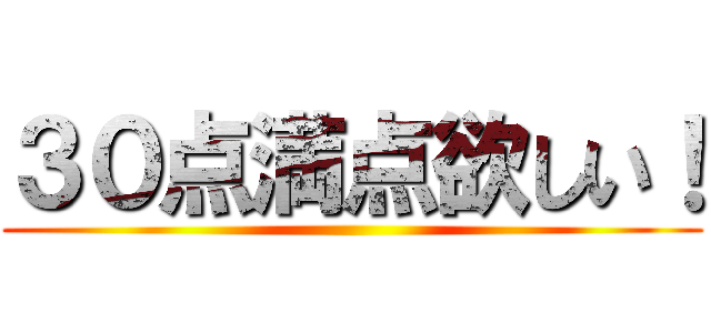 ３０点満点欲しい！ ()