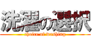 洗濯の選択 (choice of washing)