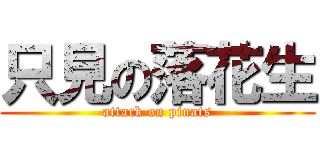 只見の落花生 (attack on pinats)