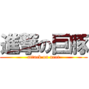 進撃の巨豚 (attack on neet)