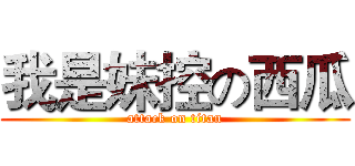 我是妹控の西瓜 (attack on titan)