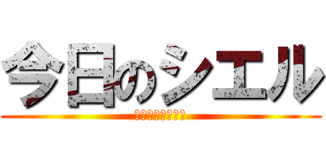 今日のシエル (めっちゃ凛々しい)