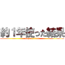 約１年使った結果 (mazi de bimi)