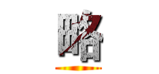 略 ()