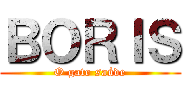 ＢＯＲＩＳ (O gato saúde)
