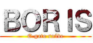 ＢＯＲＩＳ (O gato saúde)