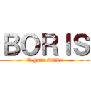 ＢＯＲＩＳ (O gato saúde)