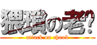 猥瑣の老鸡 (attack on chook)