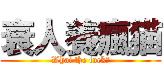 衰人養瘋猫 (Whai the fuck？)