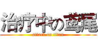 治疗中の鸢尾 (attack on titan)