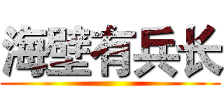 海壁有兵长 ()