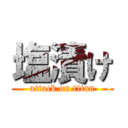 塩漬け (attack on titan)