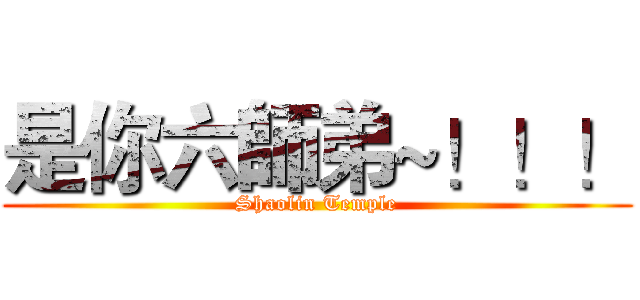 是你六師弟~！！！ (Shaolin Temple)