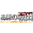 あほの坂田 (赤色の騎士)