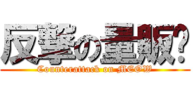 反撃の量販貓 (Counterattack on MEOW)