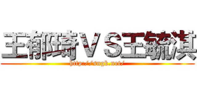 王郁琦ＶＳ王毓淇 (http://sngk.net/)