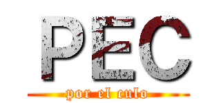 ＰＥＣ (por el culo)