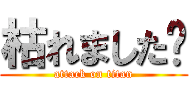 枯れました☺ (attack on titan)