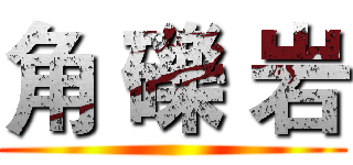 角 礫 岩 ()
