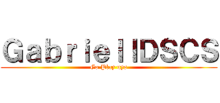 ＧａｂｒｉｅｌｌＤＳＣＳ (Go Play uys)