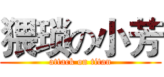 猥琐の小芳 (attack on titan)