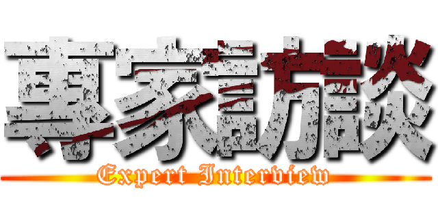專家訪談 (Expert Interview)