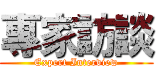 專家訪談 (Expert Interview)