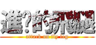 進擊的飛腿 (attack on fly leg)