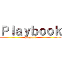 Ｐｌａｙｂｏｏｋ (Playbook)