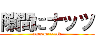 隙間にナッツ (nuts on crack)