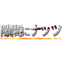 隙間にナッツ (nuts on crack)