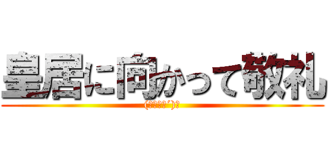 皇居に向かって敬礼 ((｀･ω･´)ゞ)
