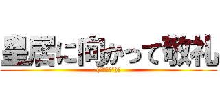 皇居に向かって敬礼 ((｀･ω･´)ゞ)