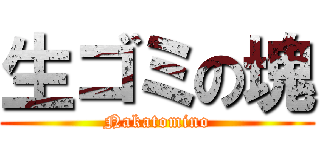 生ゴミの塊 (Nakatomino)