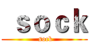  ｓｏｃｋ ( sock)