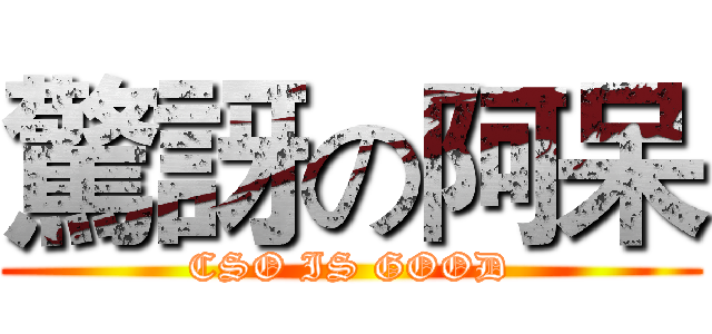 驚訝の阿呆 (CSO IS GOOD)