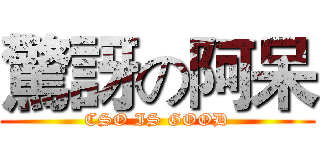 驚訝の阿呆 (CSO IS GOOD)