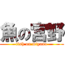 魚の宮野 (fish on miyano)