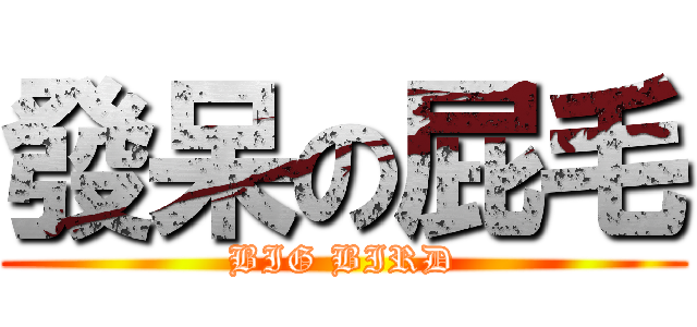 發呆の屁毛 (BIG BIRD)