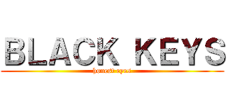 ＢＬＡＣＫ ＫＥＹＳ (honest eyes)