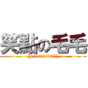 笑點の毛毛 ( [peanuts369] )